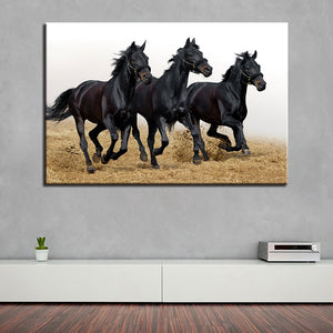 Three Horses on Canvas
