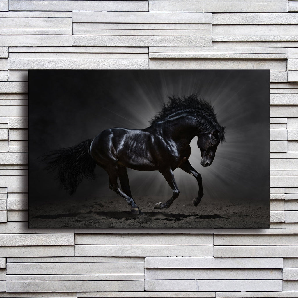 Black Horse on Canvas